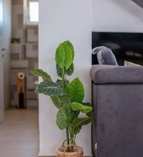 Вилла Silvana *